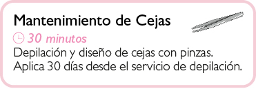 Mantenimiento de Cejas